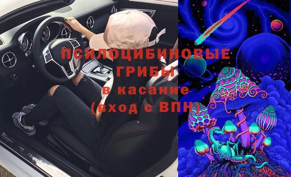 apvp Вязники