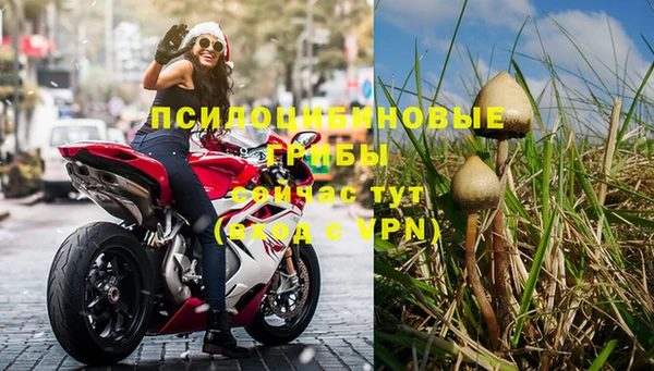 apvp Вязники