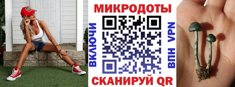 Галлюциногенные грибы мицелий  хочу наркоту  Кадников 