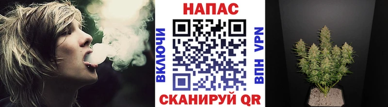 сколько стоит  Кадников  Шишки марихуана марихуана 